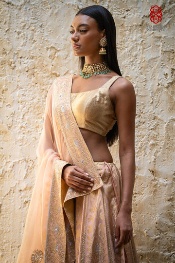 'Sitara’ blouse sleeveless Ganga Jamuna zari