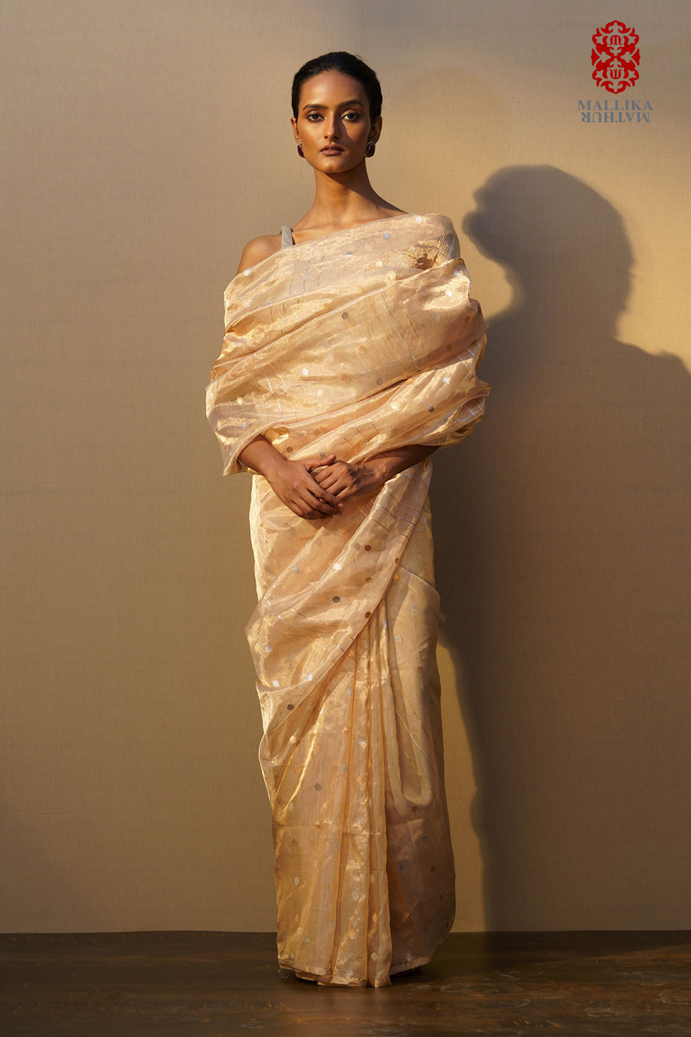 Sari tissue gold small silver & gold buti - image 3