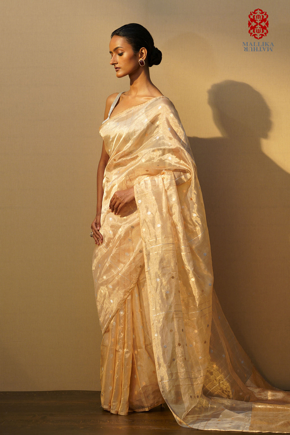 Sari tissue gold small silver & gold buti - image 2